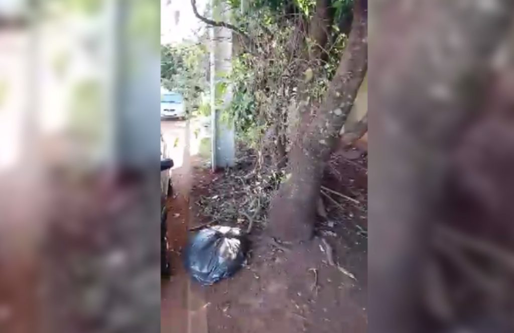 Bairro Neva: morador questiona falta de calçamento na frente de empresa na Rua Pio XII