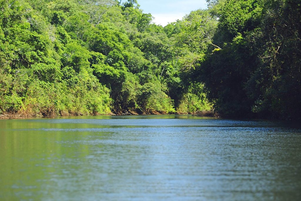 Comitê da bacia do Alto Ivaí inicia gestão hídrica na região central