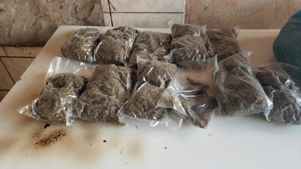 Operação Metrópolis: Cão de faro do Pelotão de Choque, em ação conjunta com a PF, encontra mais de 6 kg de maconha