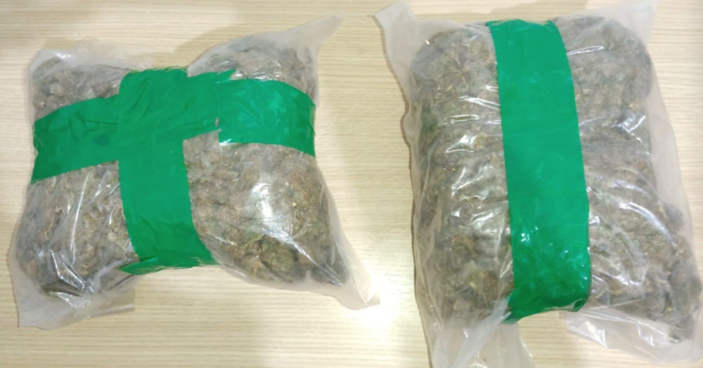 Dupla é detida com 1,6 kg de maconha ‘skank’ em Santa Lúcia