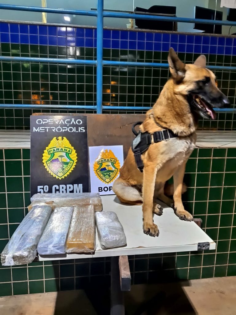 Mulher é presa transportando maconha em Guaíra