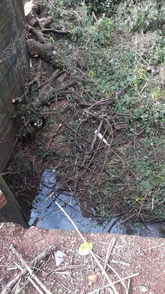 Restos de poda de árvore em rio no Claudete geram reclamações