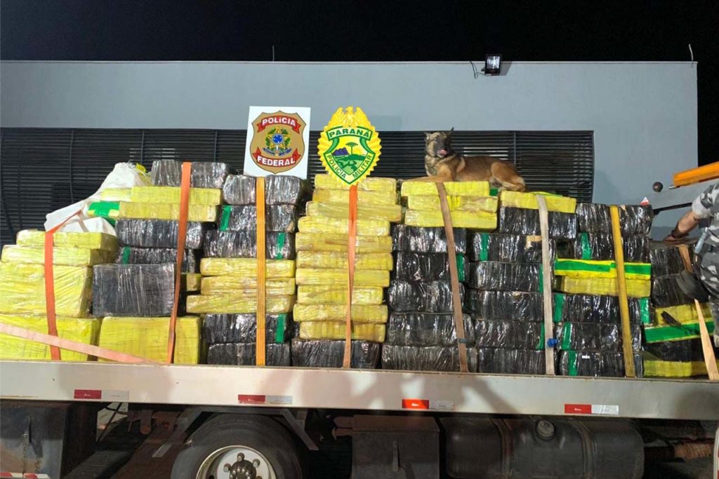 Com ajuda de cães, PM apreende mais de 38 toneladas de maconha