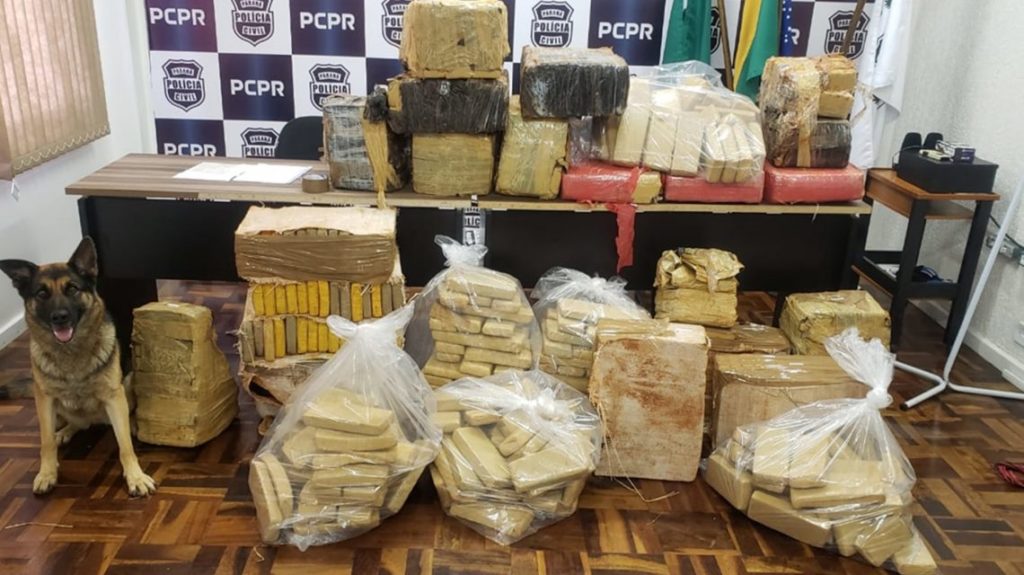 Polícia Civil apreende mais de meia tonelada de maconha em Vitorino