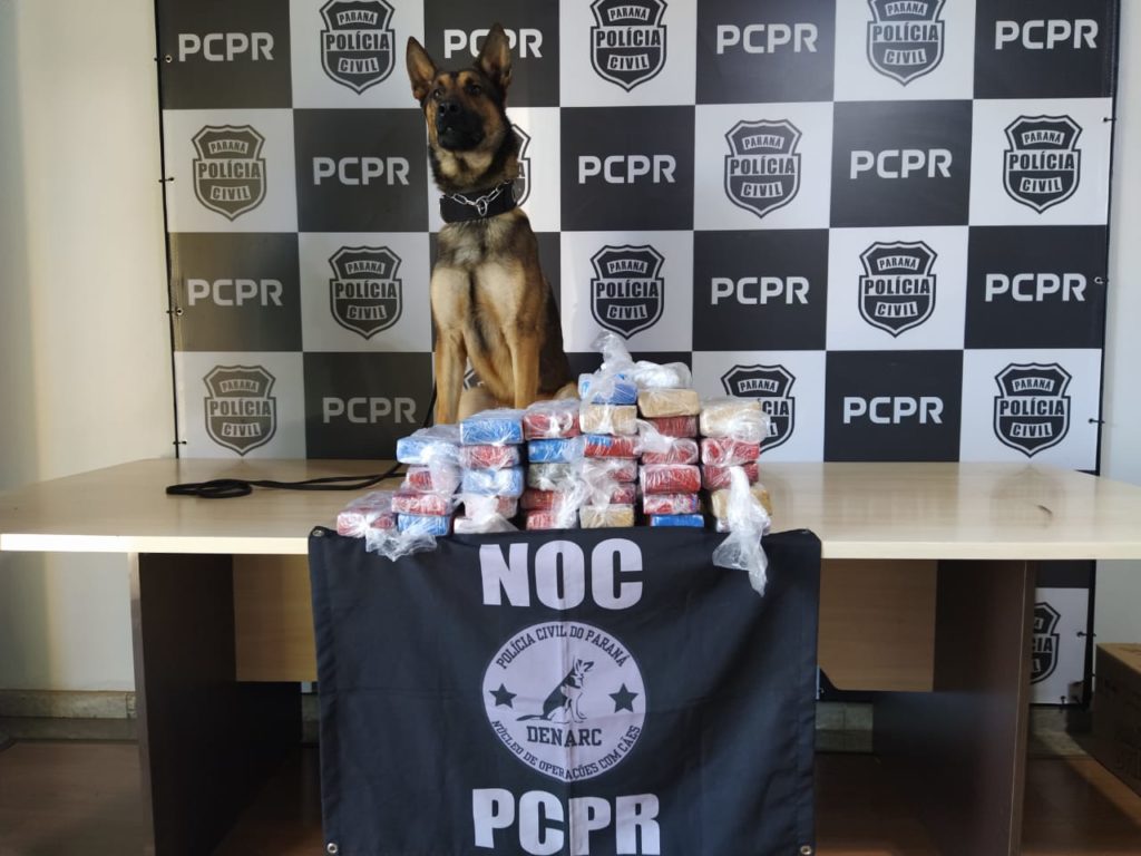 DENARC apreende 20 kg de maconha na rodoviária de Cascavel