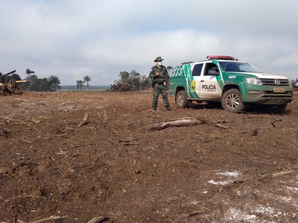Polícia Ambiental aplica mais de R$ 243 mil em multas por destruição de vegetação nativa no Sudeste