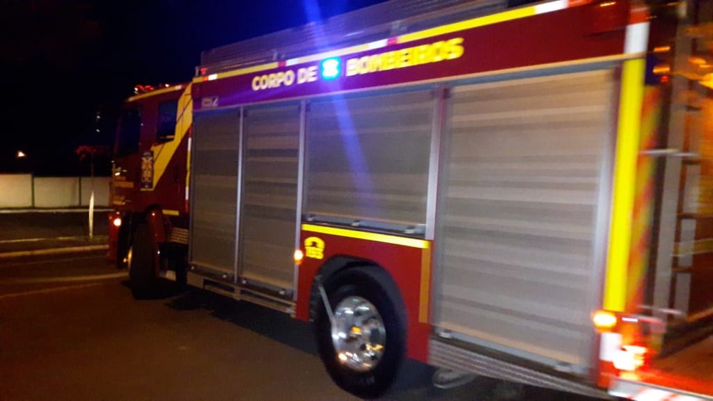 Bombeiros capturam cão que caiu em buraco
