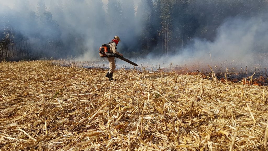 Bombeiros combatem incêndio em área onde há restos de colheita e vegetação