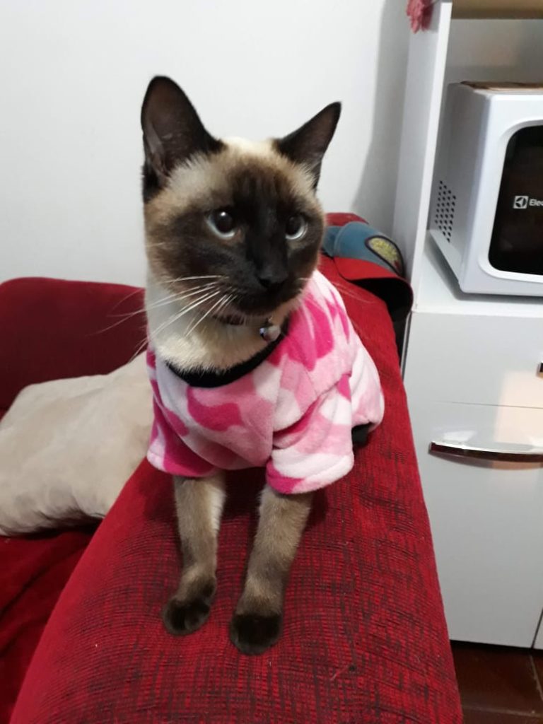 ‘Tyna’ desapareceu no Bairro Santa Cruz