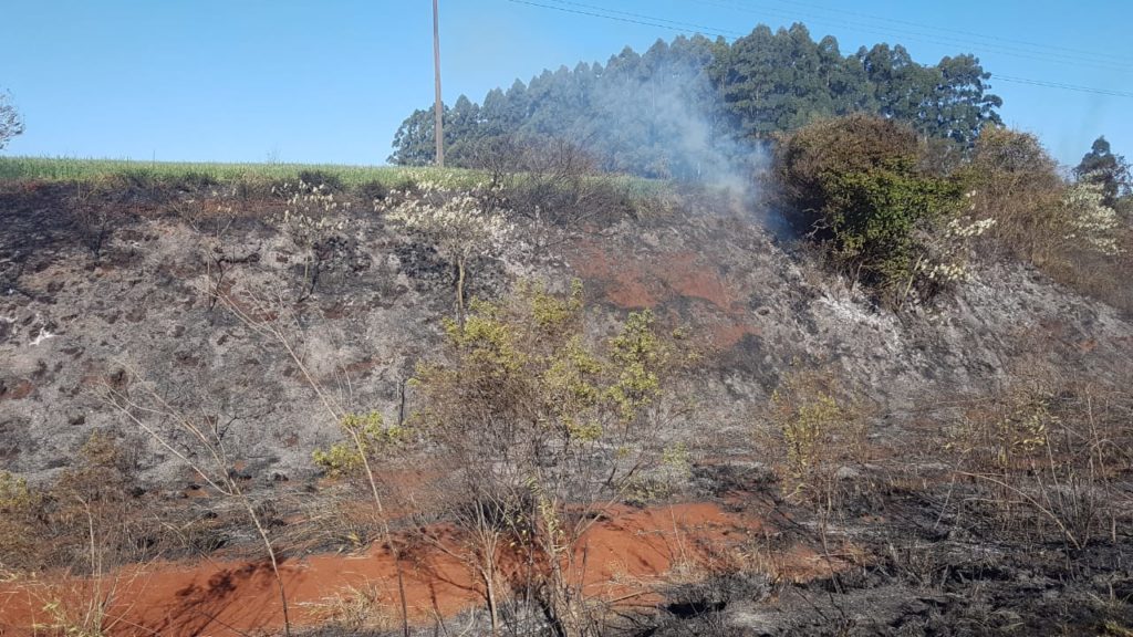 Incêndio ambiental é registrado às margens da BR-369