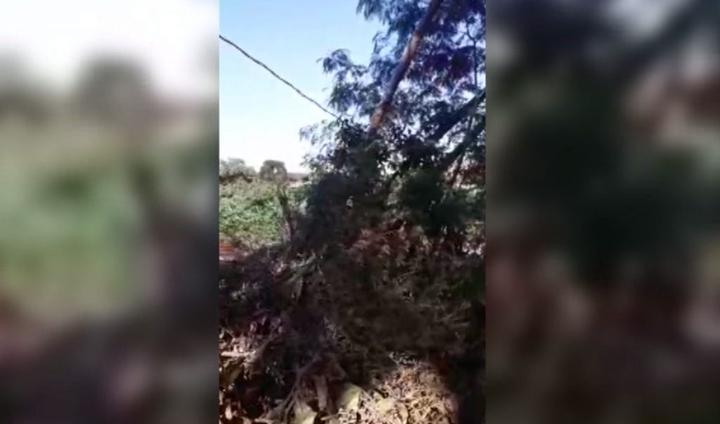 Palotina: moradora registra fios elétricos caídos e cobra por providências