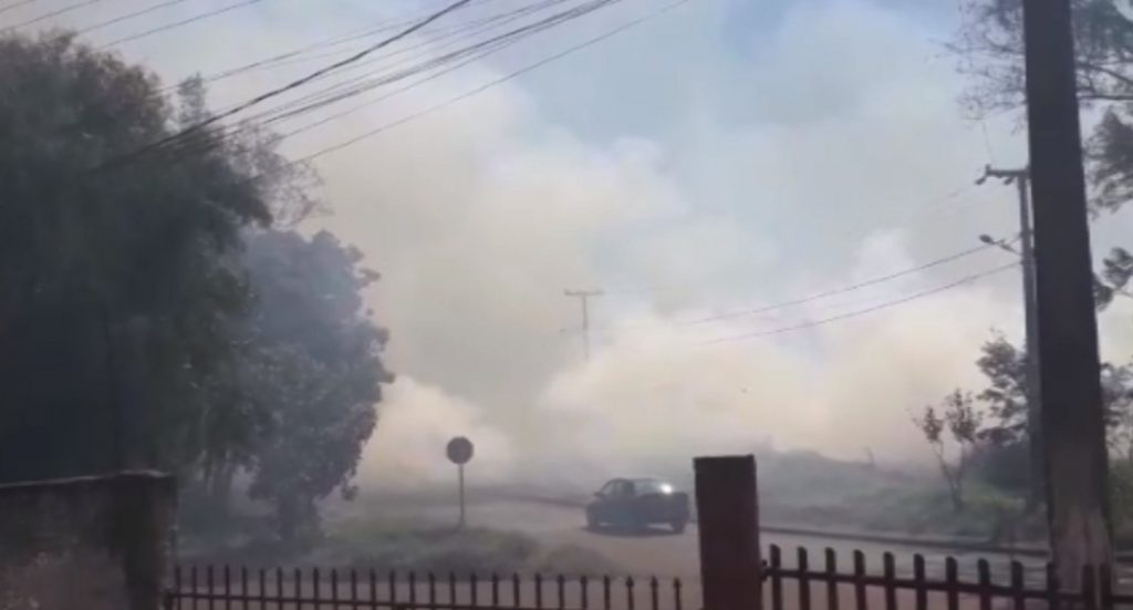 Área de vegetação é tomada pelo fogo, Bairro Floresta Área de vegetação é tomada pelo fogo, Bairro Floresta