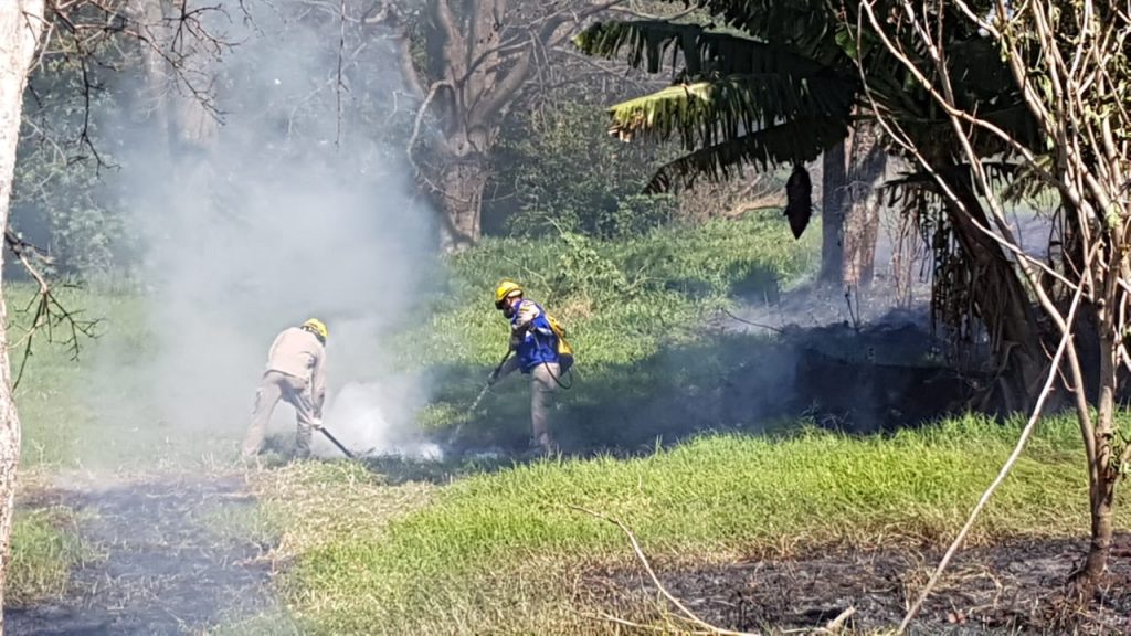 Incêndio em vegetação mobiliza Bombeiros ao Bairro Santa Cruz Incêndio em vegetação mobiliza Bombeiros ao Bairro Santa Cruz