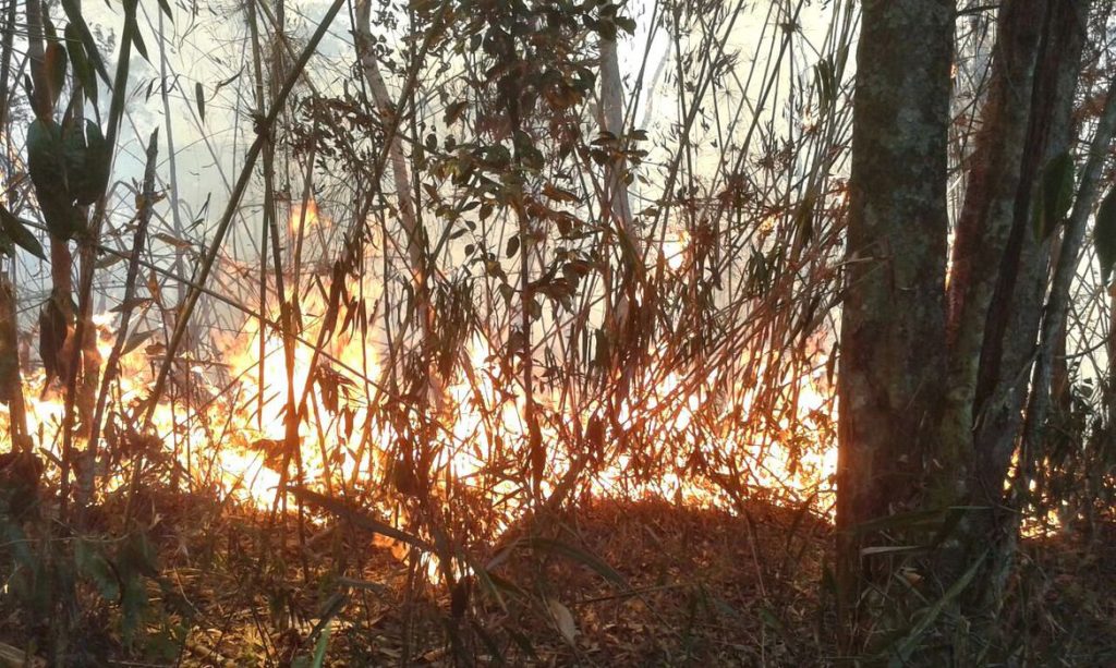 Bombeiros combatem fogo na Serra dos Órgãos pelo terceiro dia seguido