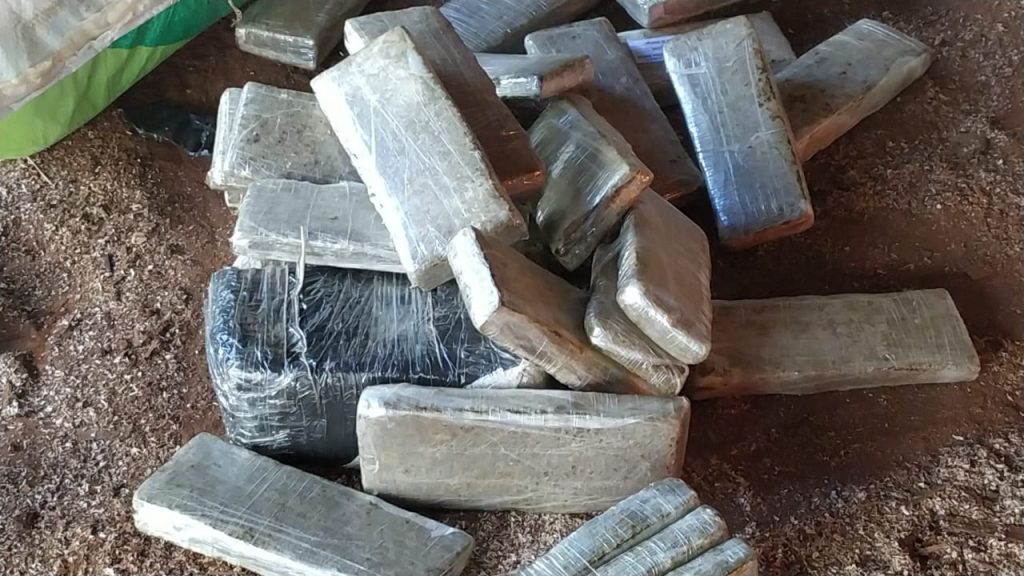 Justiça condena por tráfico de drogas e associação para o tráfico onze pessoas denunciadas pelo MPPR em Cornélio Procópio