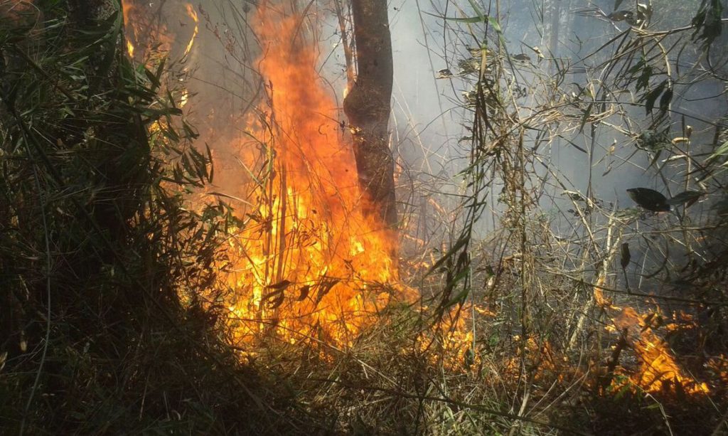 Prossegue combate a incêndio florestal na Serra dos Órgãos Prossegue combate a incêndio florestal na Serra dos Órgãos