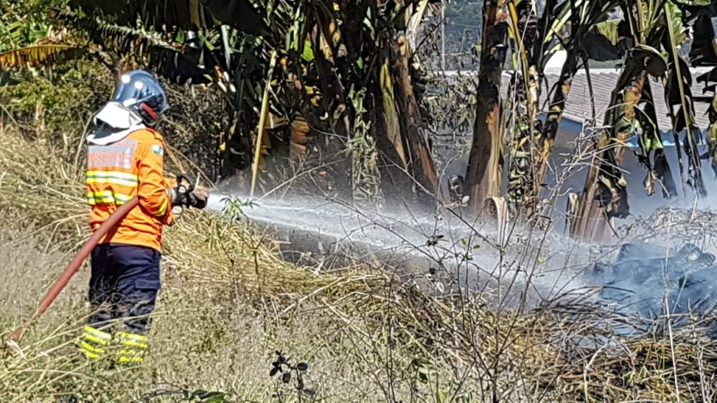 Incêndio atinge área de vegetação no Lago Azul