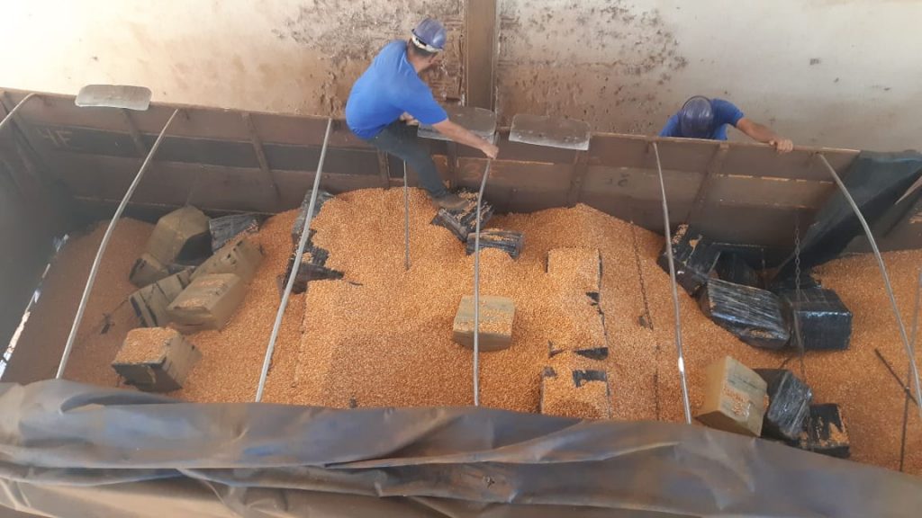 Pai foge e deixa filho para trás que acaba preso com 2 toneladas de maconha na BR-163