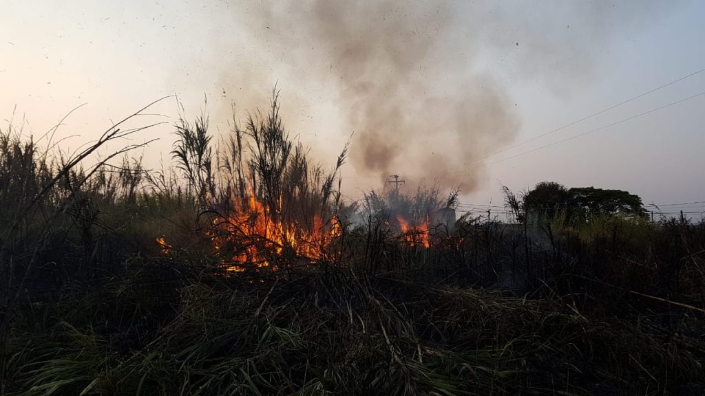 Bombeiros combatem incêndio ambiental no Bairro Universitário