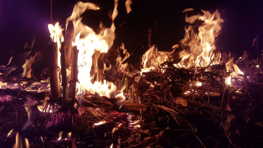 AGU mantém multa a causador de incêndio no Parque Nacional de Brasília