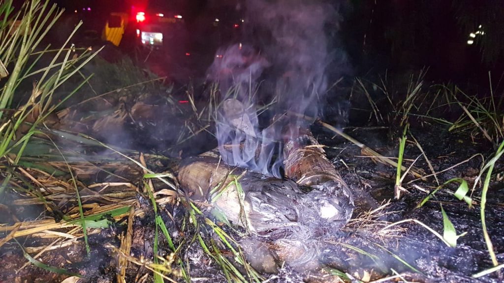 Incêndio ambiental é registrado no Bairro Floresta