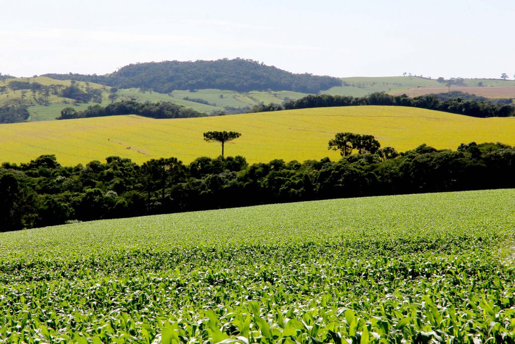 Governo promove encontro para agilizar negócios em Fazenda Rio Grande