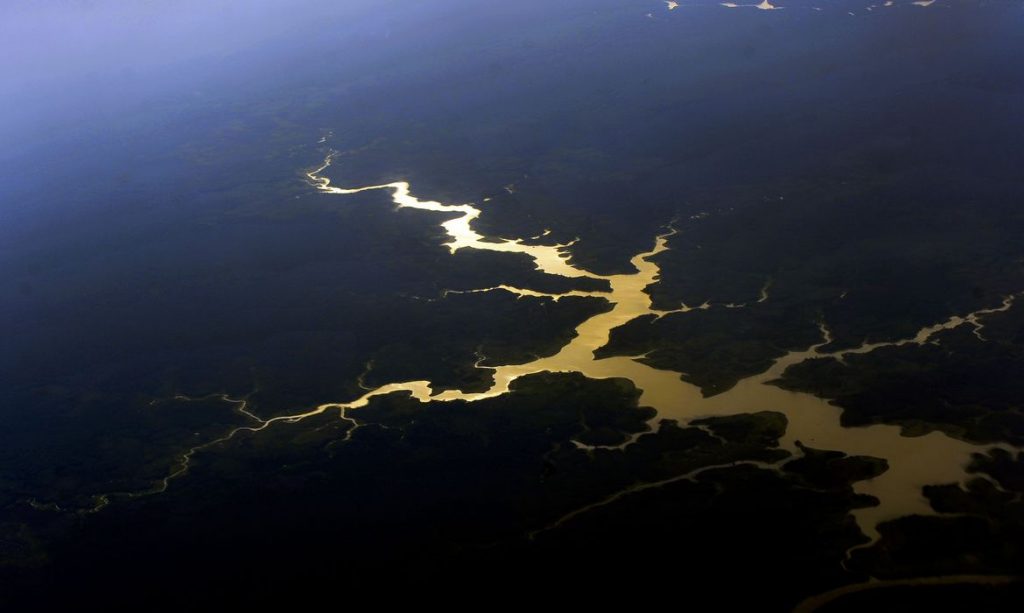 Projeto proíbe desmatamento na Amazônia por 5 anos e incentiva recuperação de áreas