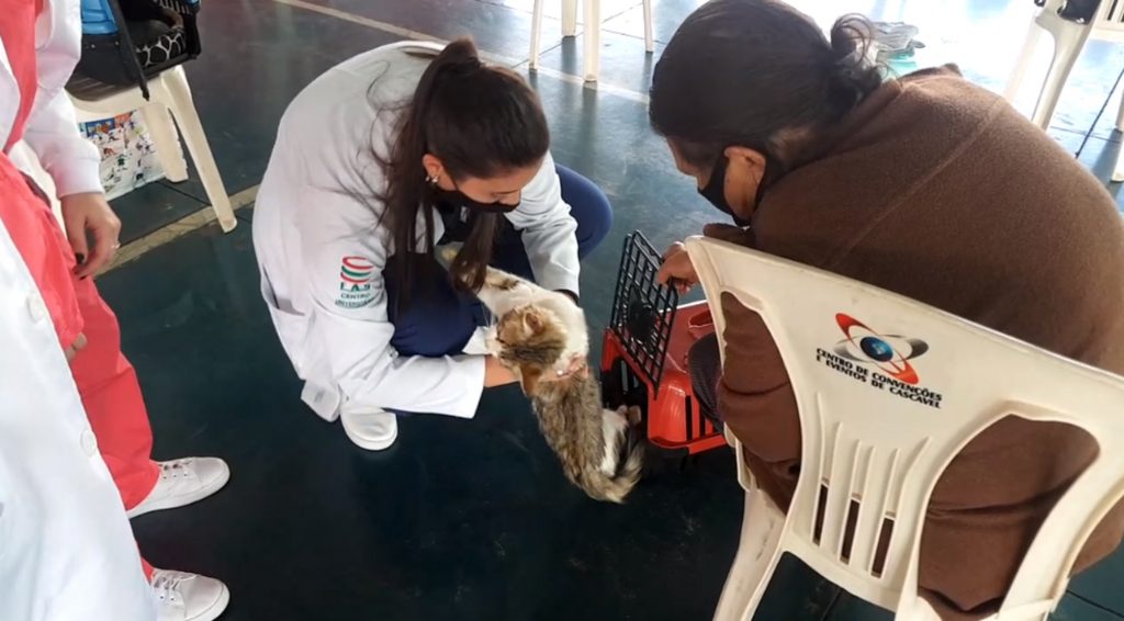 Castramóvel é realizado na Praça Céu, no Bairro Santa Cruz
