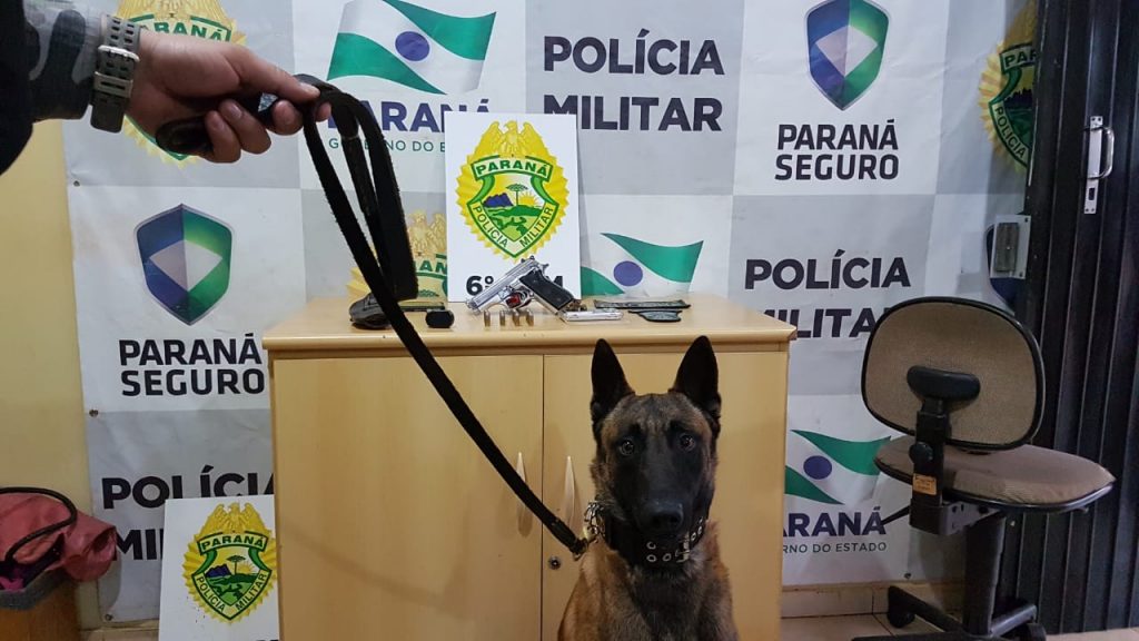 Com ajuda de cão farejador, Choque detém homem com maconha e pistola na Rodoviária de Cascavel