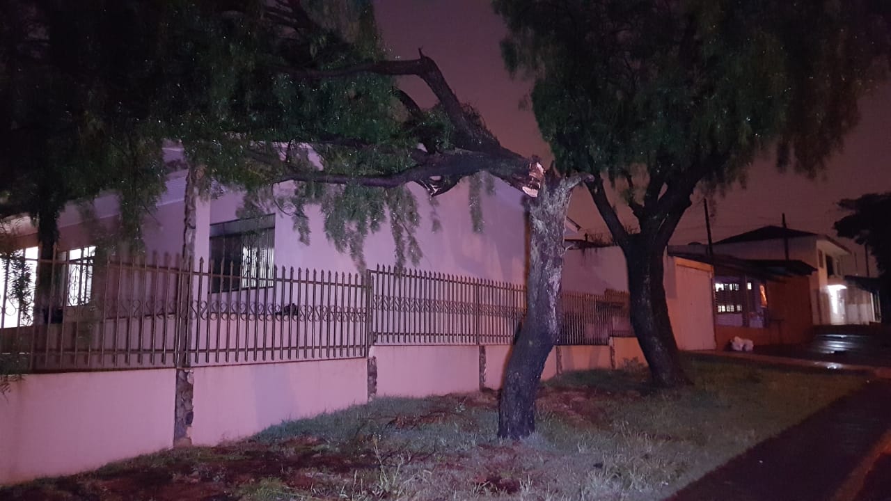 Tronco de árvore cai em cima de residência no Bairro Brasília Imagem referente a Tronco de árvore cai em cima de residência no Bairro Brasília