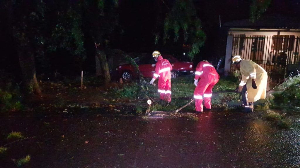 Pioneiros Catarinenses: galhos de árvore caem sobre a rua e Bombeiros são mobilizados