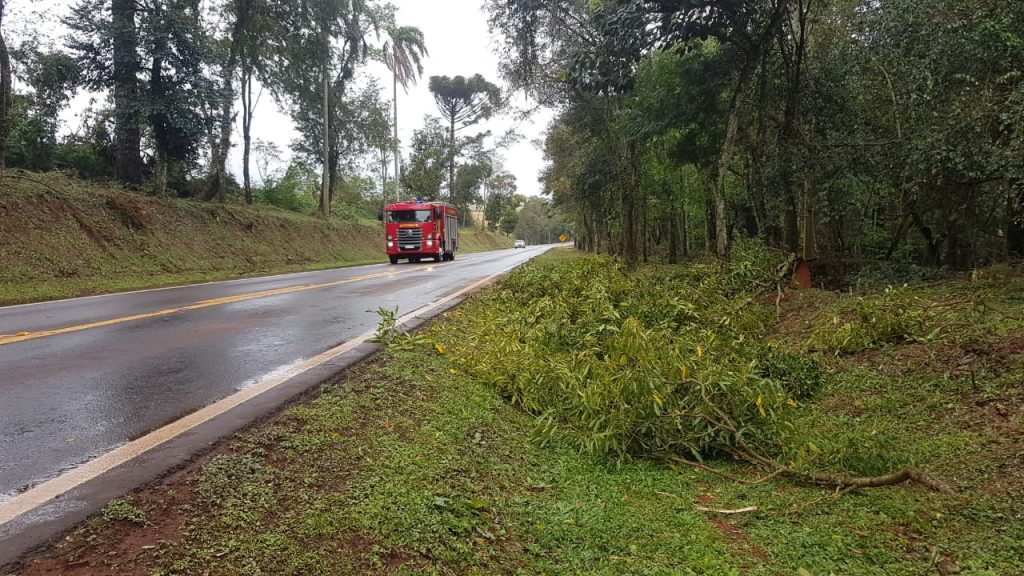Galhos de árvore prejudicam o trânsito na PR-180 e Bombeiros são acionados