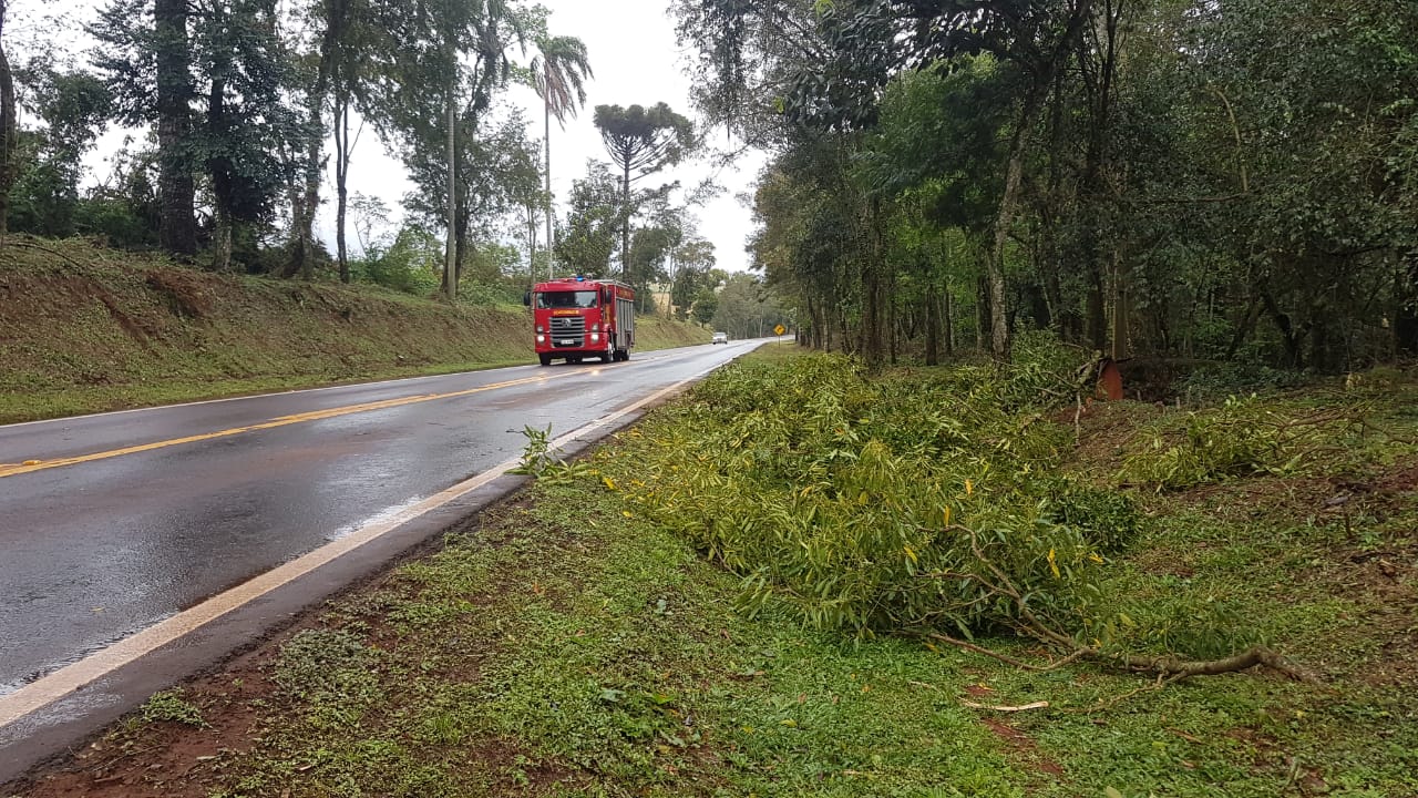 Galhos de árvore prejudicam o trânsito na PR-180 e Bombeiros são acionados Imagem referente a Galhos de árvore prejudicam o trânsito na PR-180 e Bombeiros são acionados
