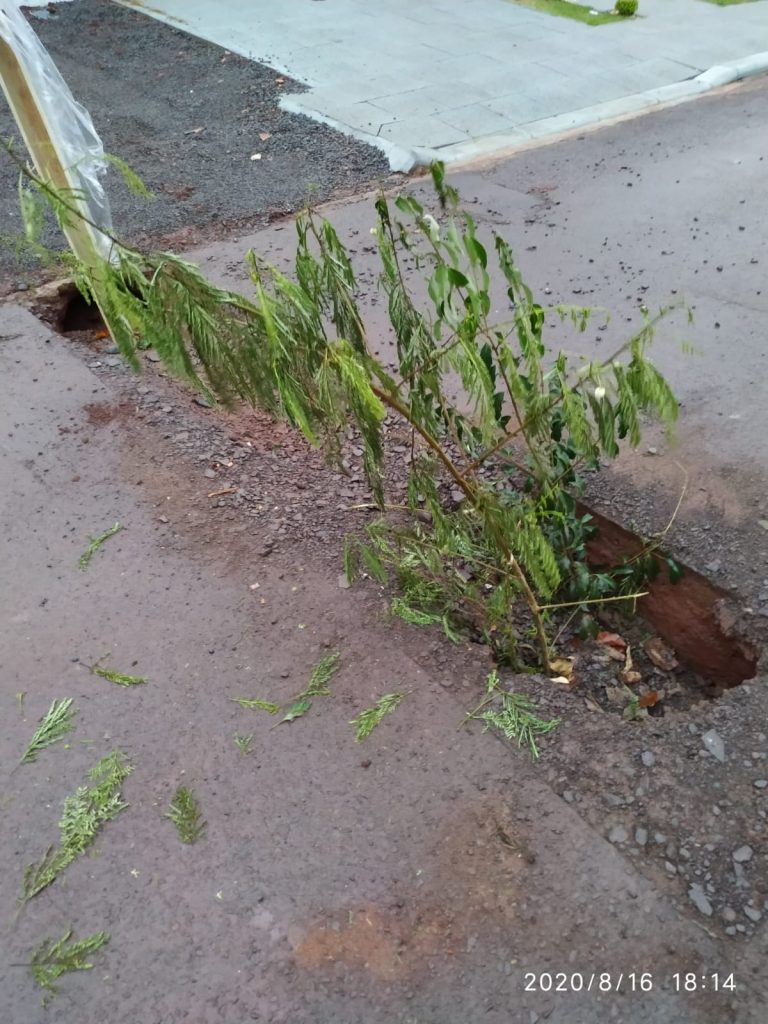 Buraco é sinalizado com galhos de árvore na Rua Marechal Floriano