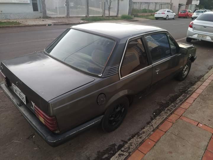 Internauta pede ajuda para encontrar Monza que foi levado por ladrões Imagem referente a Internauta pede ajuda para encontrar Monza que foi levado por ladrões
