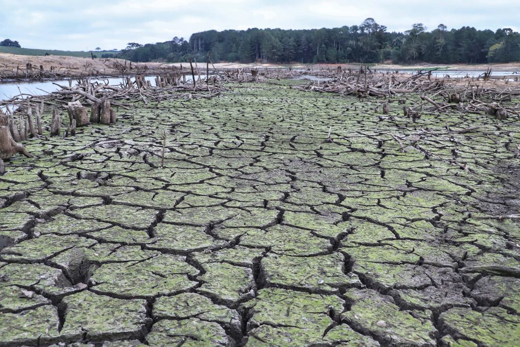 Chuvas não diminuem os efeitos da estiagem severa