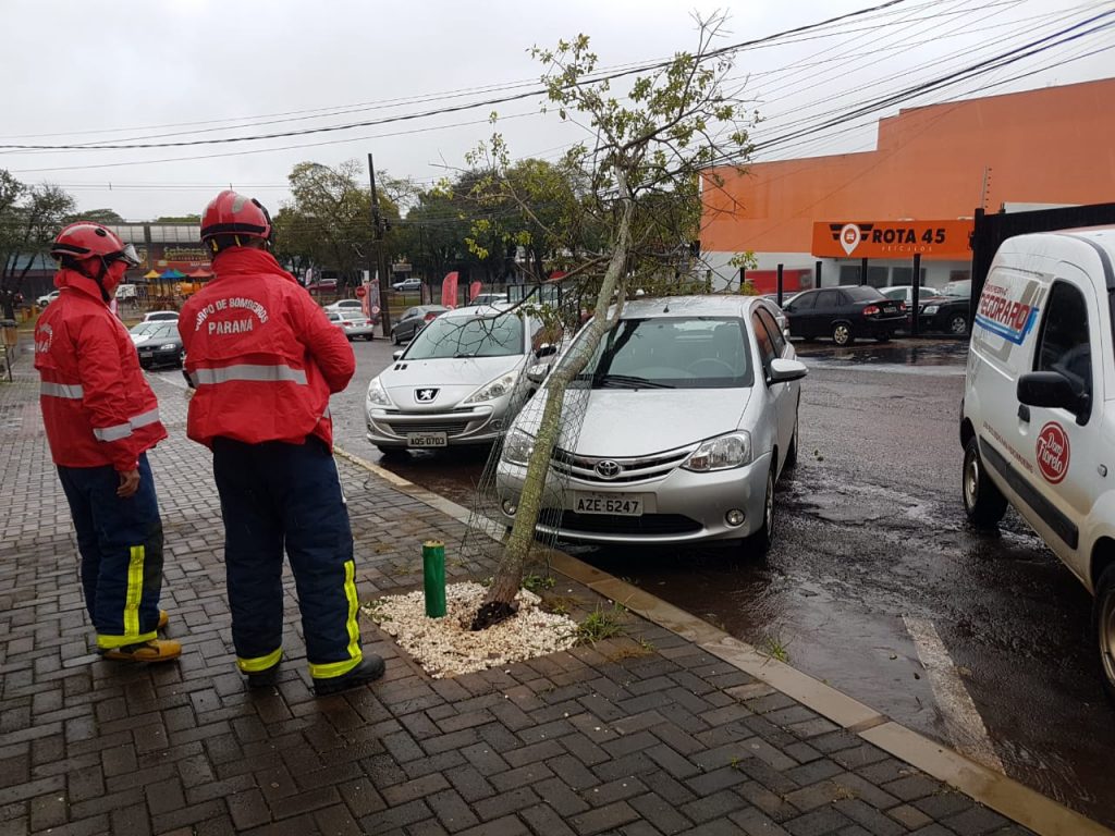 Árvore atinge veículo estacionado, na Rua Siqueira Campos