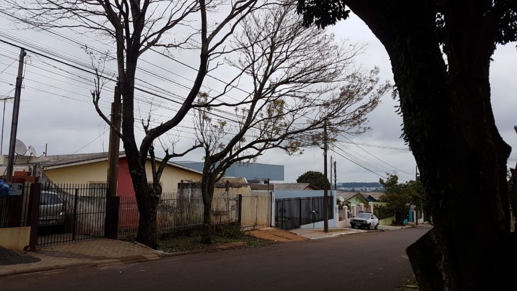 Corpo de Bombeiros é mobilizado ao Jardim Nova Cidade para corte de árvore