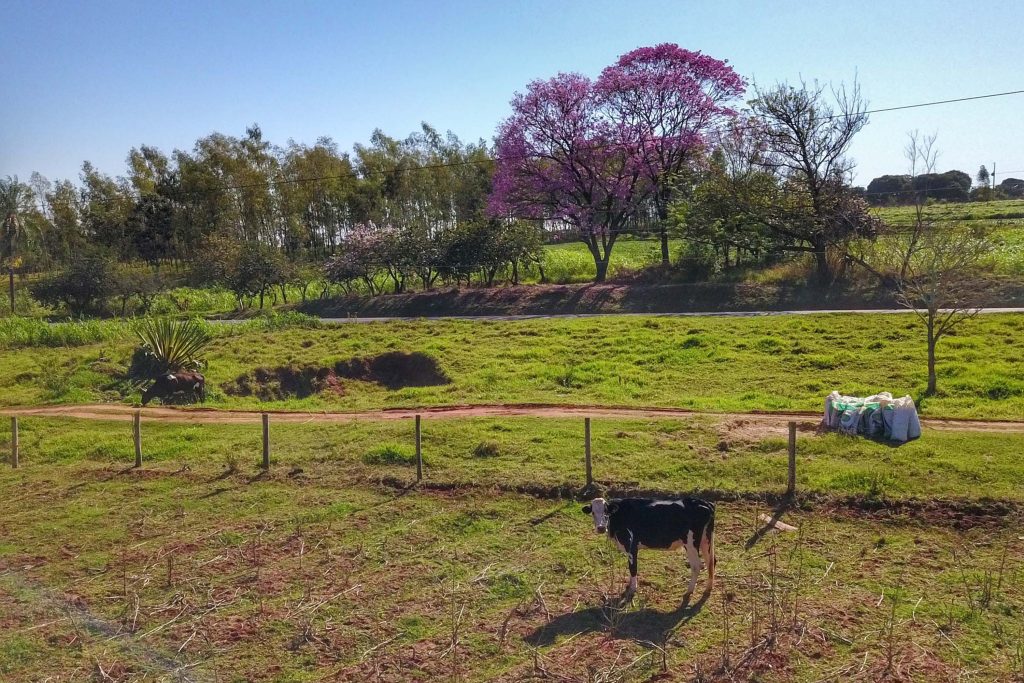 Inclusão de imóvel rural em perímetro urbano não desobriga a constituição de reserva legal