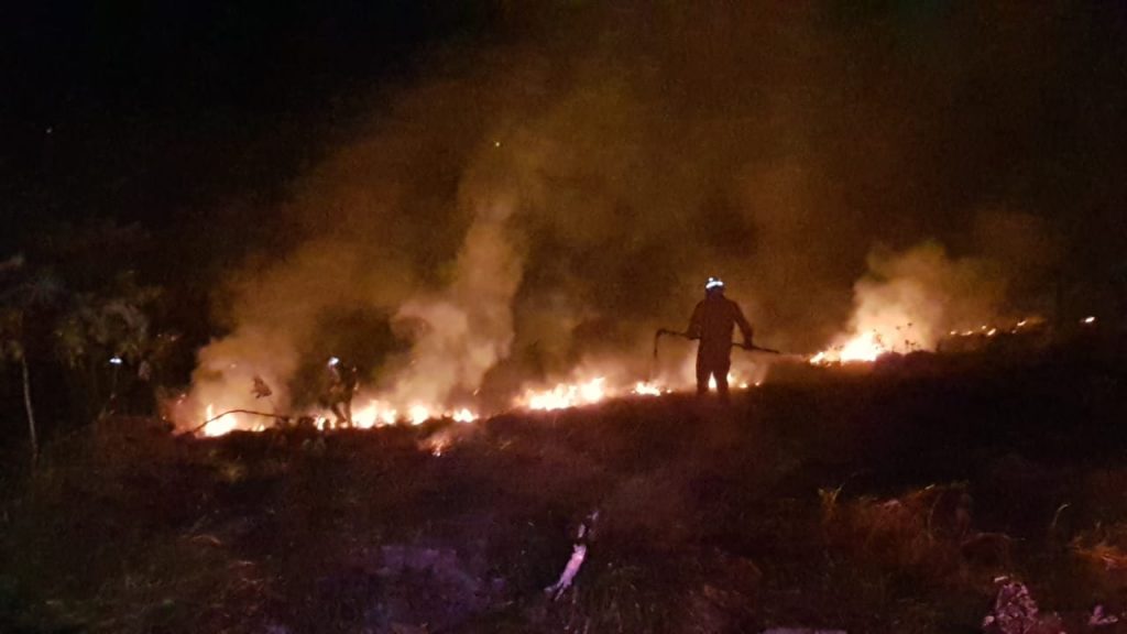 Incêndio de grandes proporções atinge área de vegetação nas proximidades da UPA Veneza