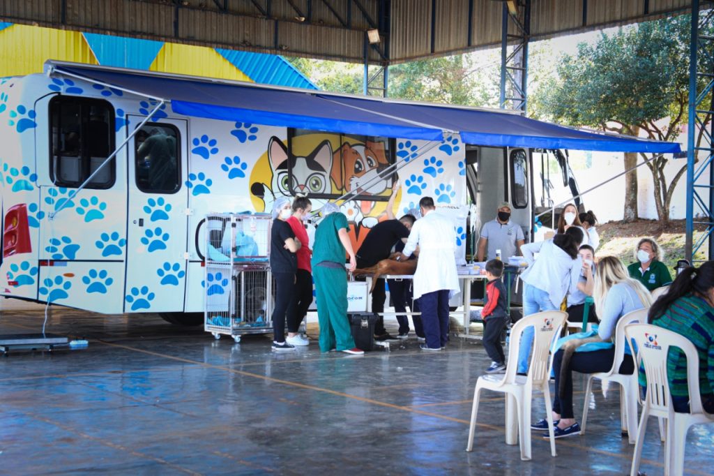 Com estrutura de excelência, Castramóvel leva cirurgia gratuita a animais de Rio do Salto Com estrutura de excelência, Castramóvel leva cirurgia gratuita a animais de Rio do Salto