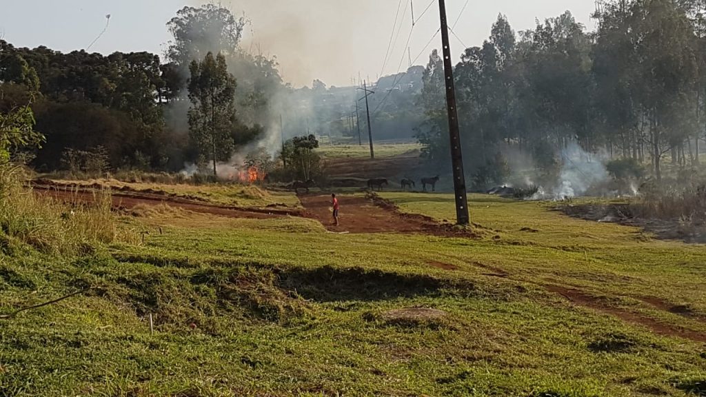 Extensa área de vegetação pega fogo no Bairro Floresta