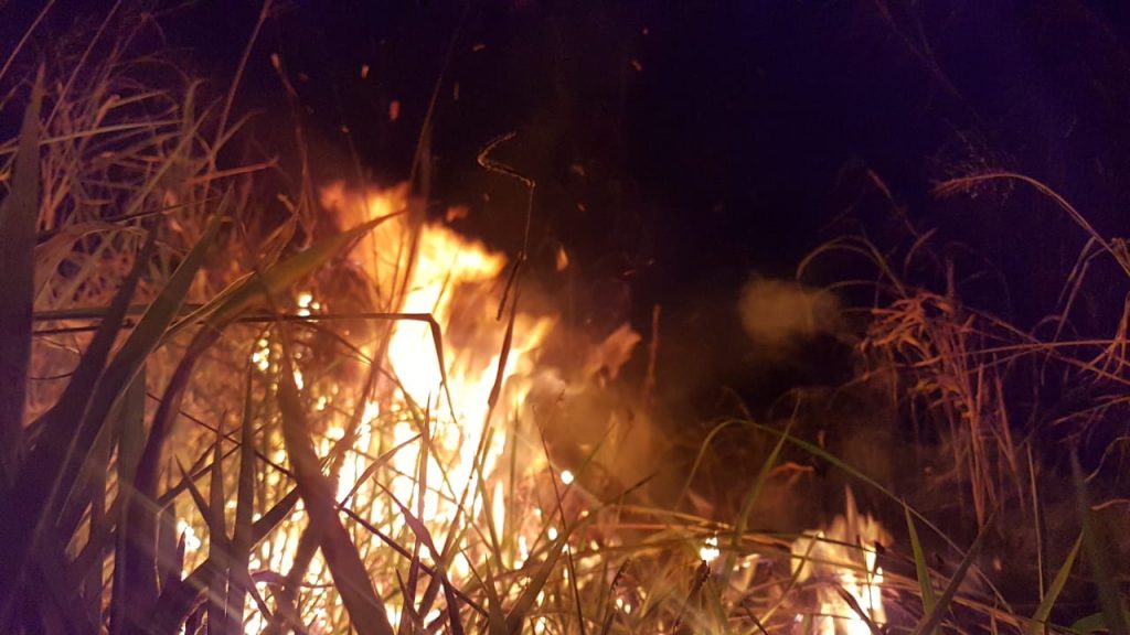 Bombeiros combatem incêndio ambiental às margens da BR-277