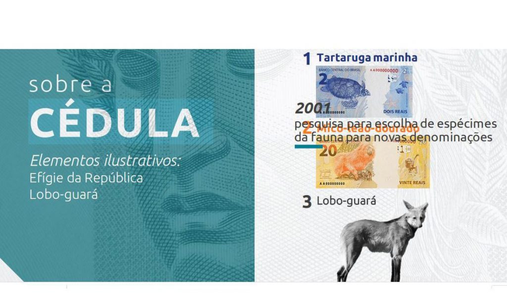 Vira-lata caramelo faz anúncio sobre nova cédula de R$ 200