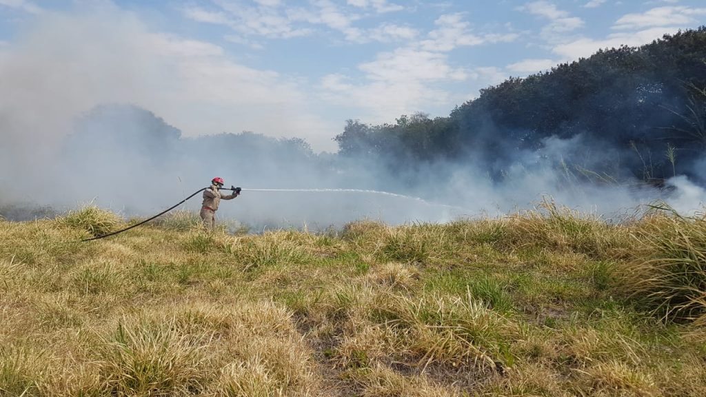 Corpo de Bombeiros combate incêndio em vegetação no Bairro Cancelli Corpo de Bombeiros combate incêndio em vegetação no Bairro Cancelli