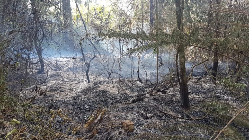 Grande incêndio em vegetação mobiliza Corpo de Bombeiros à estrada Alto São Salvador Grande incêndio em vegetação mobiliza Corpo de Bombeiros à estrada Alto São Salvador