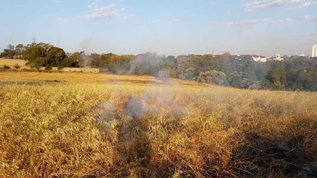 Área de vegetação próxima ao Parque Vitória, no Country, pega fogo