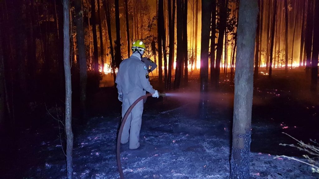 Incêndio de grandes proporções atinge área no XIV de Novembro