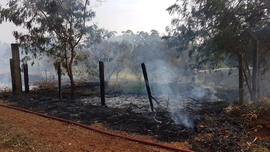 Incêndio em vegetação mobiliza Corpo de Bombeiros ao Bairro Santa Felicidade