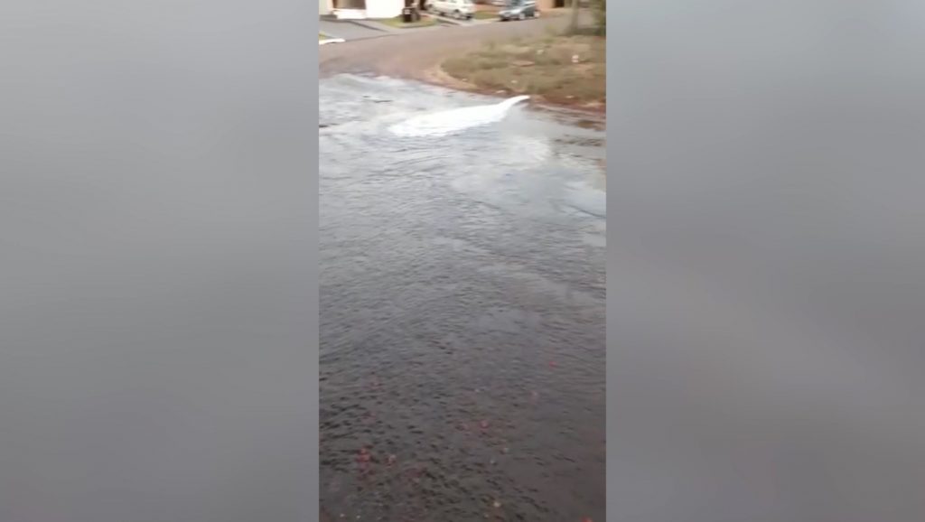 Vazamento de água é registrado no Bairro São Cristóvão